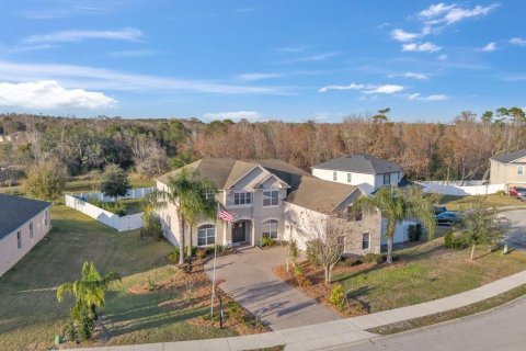 House in Eustis, Florida 5 bedrooms, 380.34 sq.m. № 1757971 - photo 3