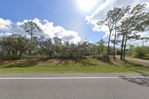 Terreno en venta en Polk City, Florida № 2235109 - foto 2