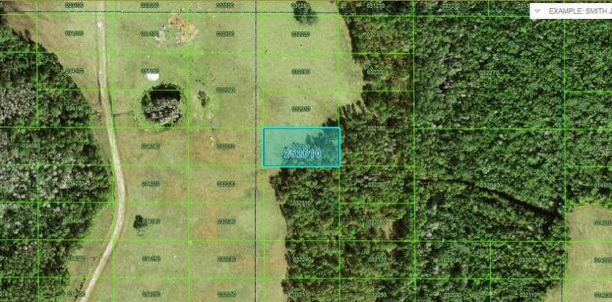 Terreno en Polk City, Florida № 2235109