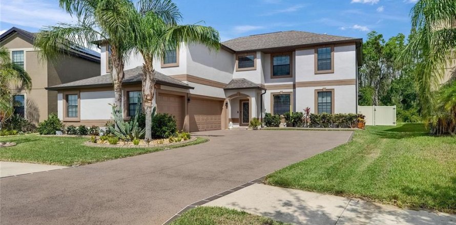 House in Wimauma, Florida 5 bedrooms, 352.94 sq.m. № 1744533