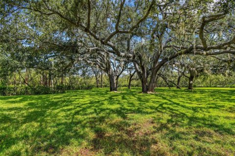 Condo in New Port Richey, Florida, 2 bedrooms  № 1855893 - photo 28