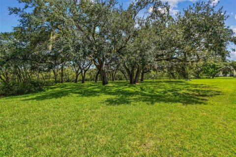 Condo in New Port Richey, Florida, 2 bedrooms  № 1855893 - photo 29