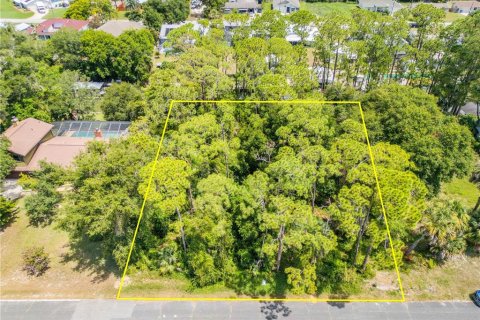Land in Edgewater, Florida № 1805823 - photo 2