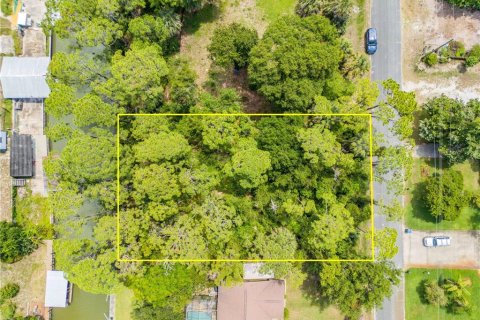 Land in Edgewater, Florida № 1805823 - photo 1