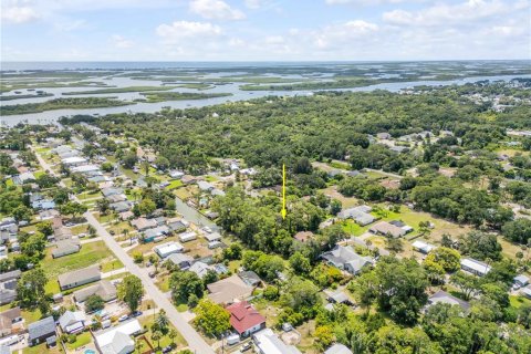 Land in Edgewater, Florida № 1805823 - photo 8