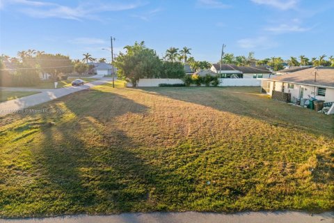 Land in Cape Coral, Florida № 1875039 - photo 4