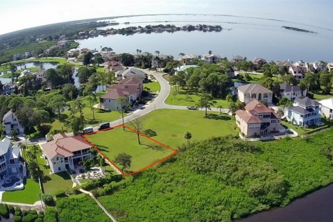 Land in Tarpon Springs, Florida № 1866819 - photo 3