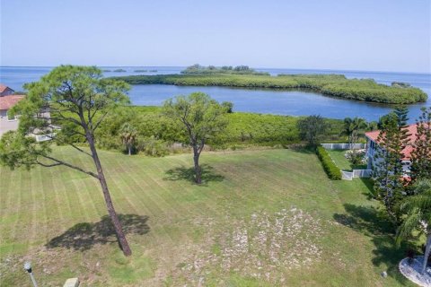 Land in Tarpon Springs, Florida № 1866819 - photo 1