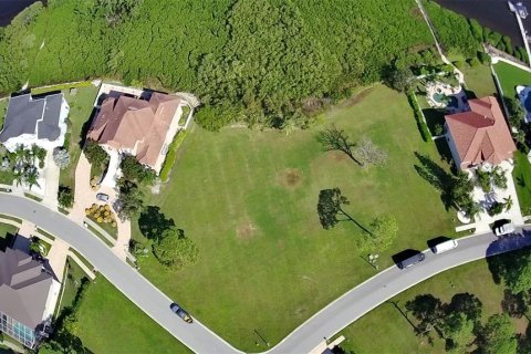 Land in Tarpon Springs, Florida № 1866819 - photo 4