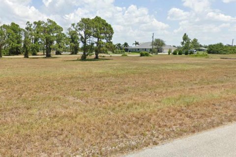 Land in Placida, Florida № 2215067 - photo 2