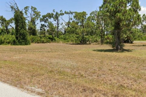 Land in Placida, Florida № 2215067 - photo 3