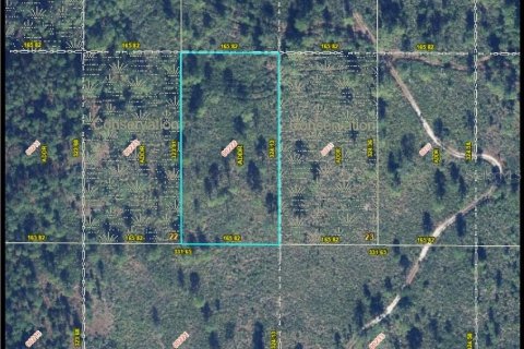 Terreno en Orlando, Florida № 2213803
