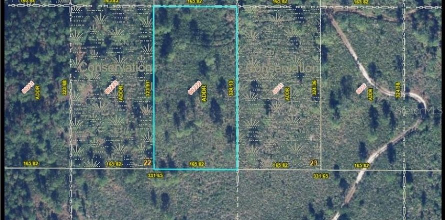 Terreno en Orlando, Florida № 2213803