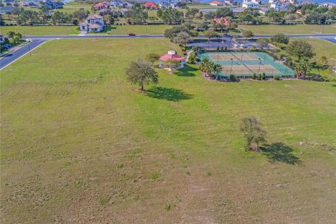 Land in Lake Alfred, Florida № 1724040 - photo 7