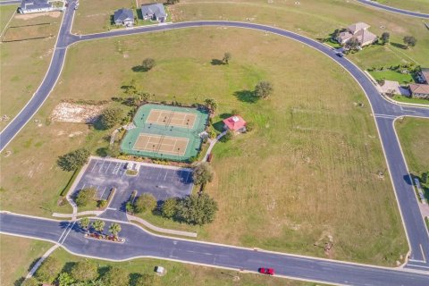 Land in Lake Alfred, Florida № 1724040 - photo 3