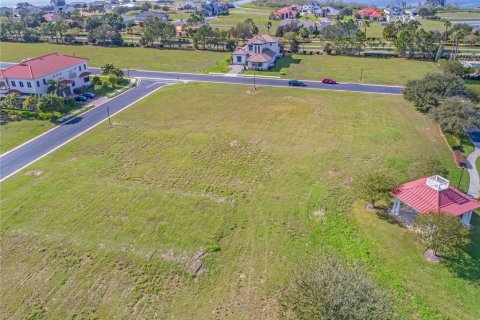 Land in Lake Alfred, Florida № 1724040 - photo 8