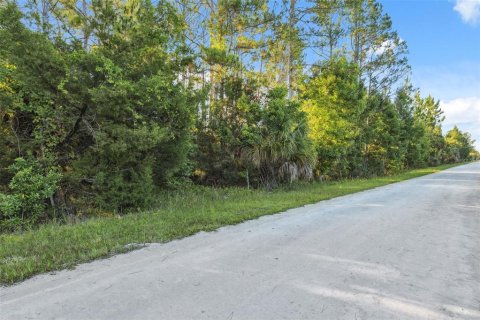 Land in Weeki Wachee, Florida № 1793733 - photo 15