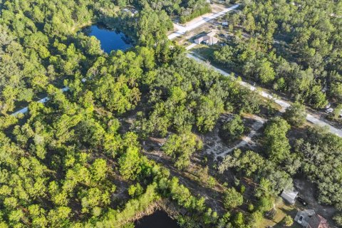 Land in Weeki Wachee, Florida № 1793733 - photo 20