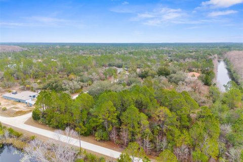Land in Weeki Wachee, Florida № 1793733 - photo 6