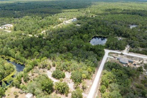 Land in Weeki Wachee, Florida № 1793733 - photo 25