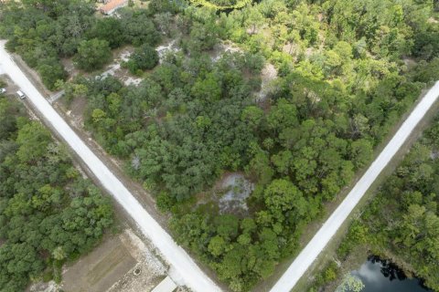 Land in Weeki Wachee, Florida № 1793733 - photo 27