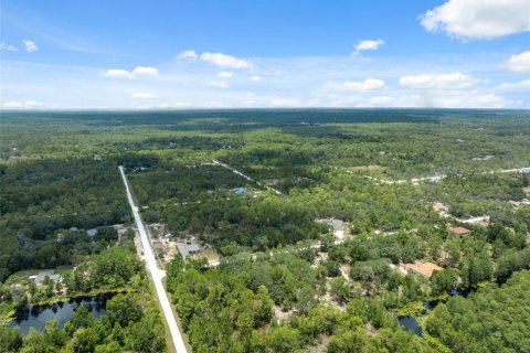 Land in Weeki Wachee, Florida № 1793733 - photo 21