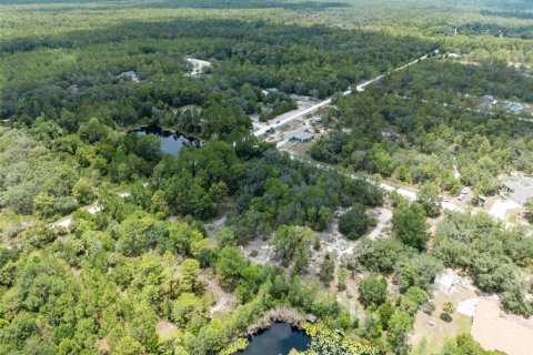 Land in Weeki Wachee, Florida № 1793733 - photo 23