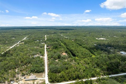 Land in Weeki Wachee, Florida № 1793733 - photo 10