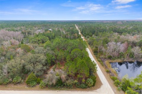 Land in Weeki Wachee, Florida № 1793733 - photo 2