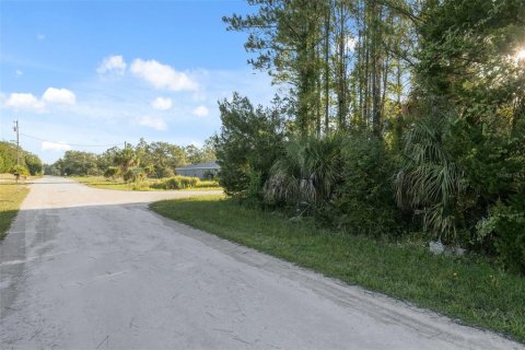 Land in Weeki Wachee, Florida № 1793733 - photo 16