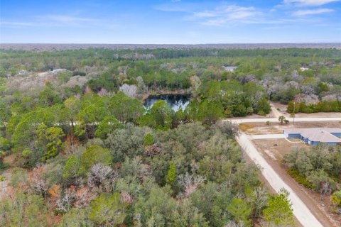 Land in Weeki Wachee, Florida № 1793733 - photo 4