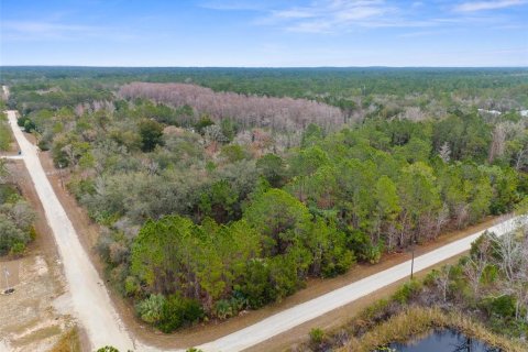 Land in Weeki Wachee, Florida № 1793733 - photo 1
