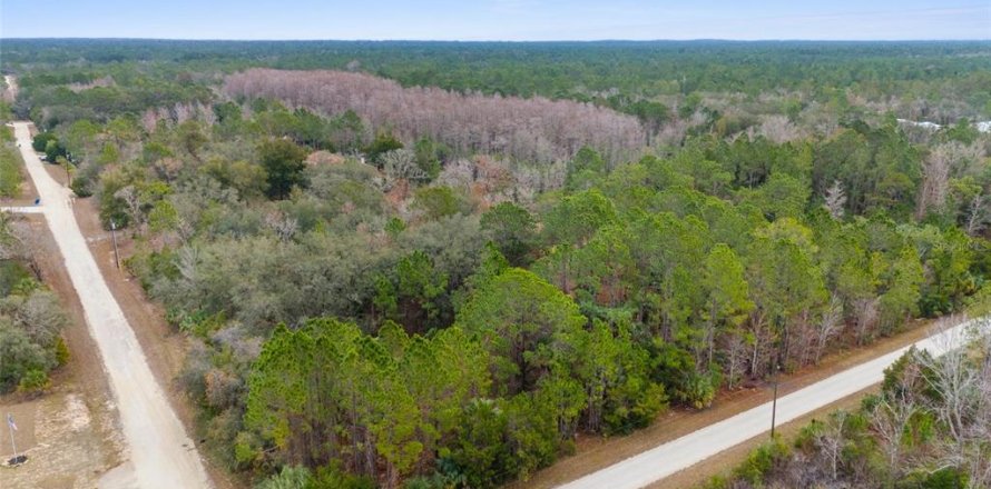 Land in Weeki Wachee, Florida № 1793733
