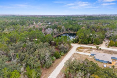 Land in Weeki Wachee, Florida № 1793733 - photo 3
