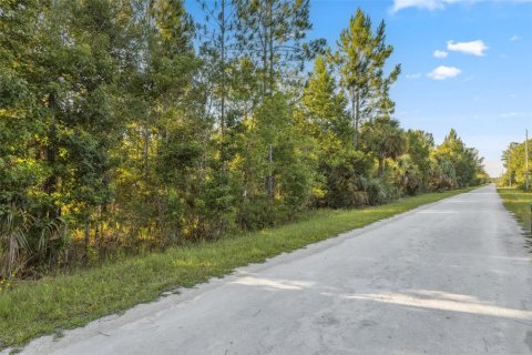 Land in Weeki Wachee, Florida № 1793733 - photo 17