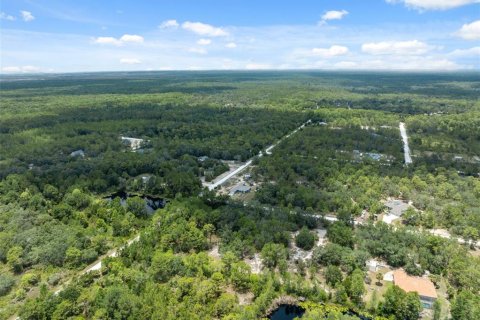 Land in Weeki Wachee, Florida № 1793733 - photo 22