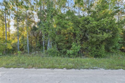 Land in Weeki Wachee, Florida № 1793733 - photo 13