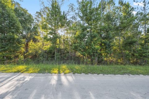 Land in Weeki Wachee, Florida № 1793733 - photo 14