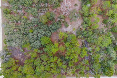 Land in Weeki Wachee, Florida № 1793733 - photo 8