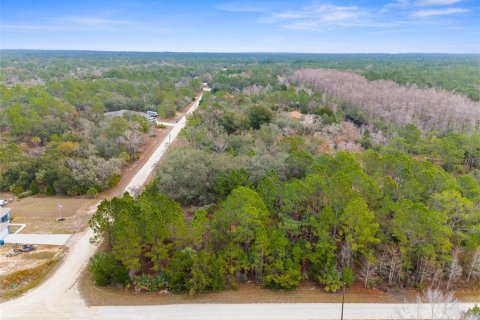 Land in Weeki Wachee, Florida № 1793733 - photo 7