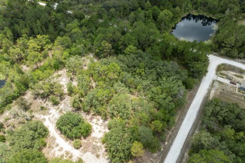 Land in Weeki Wachee, Florida № 1793733 - photo 26