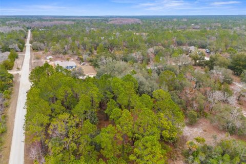 Land in Weeki Wachee, Florida № 1793733 - photo 9