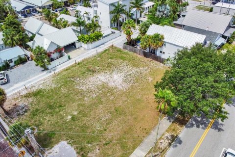 Land in Tampa, Florida № 630146 - photo 1