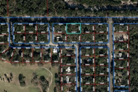 Land in Chiefland, Florida № 2163996