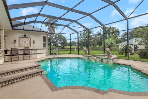 Villa ou maison à vendre à Wesley Chapel, Floride: 4 chambres, 507.34 m2 № 2419205 - photo 8