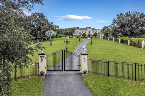Villa ou maison à vendre à Wesley Chapel, Floride: 4 chambres, 507.34 m2 № 2419205 - photo 4