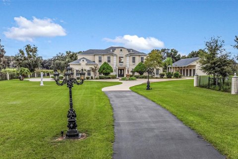 Villa ou maison à vendre à Wesley Chapel, Floride: 4 chambres, 507.34 m2 № 2419205 - photo 5