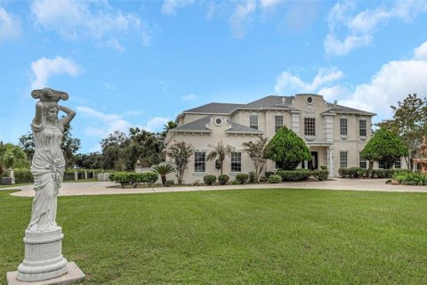 Villa ou maison à vendre à Wesley Chapel, Floride: 4 chambres, 507.34 m2 № 2419205 - photo 7