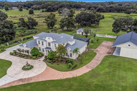 Villa ou maison à vendre à Wesley Chapel, Floride: 4 chambres, 507.34 m2 № 2419205 - photo 2