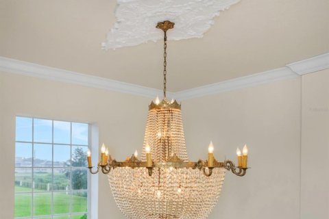 Villa ou maison à vendre à Wesley Chapel, Floride: 4 chambres, 507.34 m2 № 2419205 - photo 14